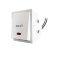 32A D.P. 1 Way Switch With Neon , Isi Power And Motor Starter Switches