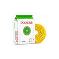 Polycab Maxima + Green Wire HR FR-LSH LF 6.0SQ MM (180MTR)
